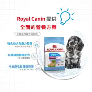 Royal Canin 狗糧 法國皇家狗糧 室內小型幼犬營養配方 ILJ 1.5kg (2433015011) (圖片4)