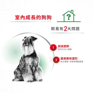 Royal Canin 狗糧 法國皇家狗糧 健康營養系列 室內小型成犬營養配方 室內小型成犬配方 ILA 7.5kg (圖片4)