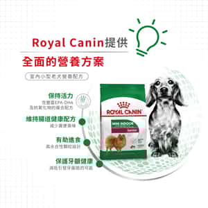 Royal Canin 狗糧 法國皇家狗糧 健康營養系列 室內小型老犬營養配方 室內小型老犬配方 ILS 3kg (圖片6)