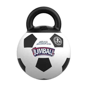 GiGwi Jumball健寶球系列 (款式隨機) (圖片3)