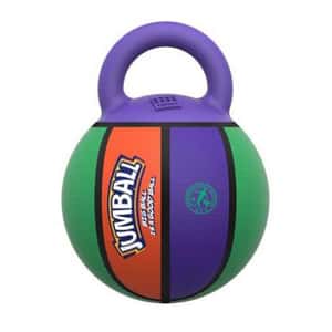 GiGwi Jumball健寶球系列 (款式隨機) (圖片4)