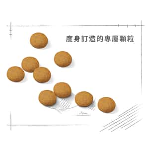 Royal Canin 狗糧 法國皇家狗糧 中型犬皮膚舒緩加護配方 DCME 3kg (2719200) (圖片6)