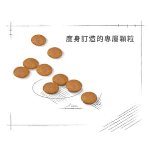 Royal Canin 狗糧 法國皇家狗糧 加護系列 小型犬皮膚舒緩加護配方 小型犬皮膚敏感專用配方 DCMI 3kg (2720600) (圖片6)