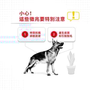 Royal Canin 狗糧 法國皇家狗糧 加護系列 大型犬皮膚舒緩加護配方 DCMX 12kg (3053100) (圖片4)