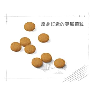 Royal Canin 狗糧 法國皇家狗糧 加護系列 大型犬皮膚舒緩加護配方 DCMX 12kg (3053100) (圖片6)