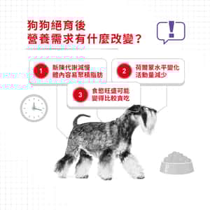 Royal Canin 狗糧 法國皇家狗糧 加護系列 小型犬絕育加護配方 小型犬絕育犬配方 STMI 3kg (2722600) (圖片4)