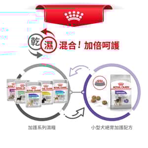 Royal Canin 狗糧 法國皇家狗糧 加護系列 小型犬絕育加護配方 小型犬絕育犬配方 STMI 3kg (2722600) (圖片7)