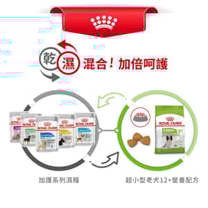 Royal Canin 狗糧 法國皇家狗糧 健康營養系列 超小型老犬12+營養配方 XSA 12+ 1.5kg (圖片8)