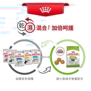 Royal Canin 狗糧 法國皇家狗糧 健康營養系列 超小型成犬營養配方 成犬超小顆粒配方 XSA 3kg (圖片7)