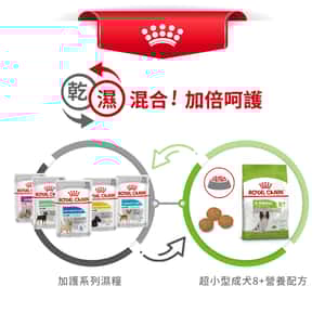Royal Canin 狗糧 法國皇家狗糧 超小型成犬8+營養配方 XSS 3kg (圖片7)