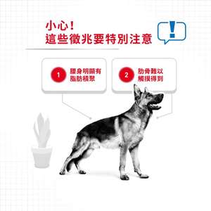Royal Canin 狗糧 法國皇家狗糧 大型犬減肥糧 LWMX 12kg (3053600) (圖片4)