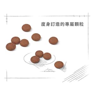 Royal Canin 狗糧 法國皇家狗糧 小型犬消化道腸胃加護配方 DGMI 3kg (2721400) (圖片6)