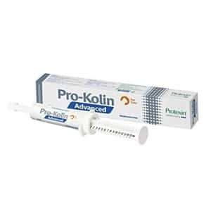 腸胃 關節保健 貓咪保健用品 Prokolin Pro-Kolin Advance 特效止瀉益生菌 15ml (貓用)