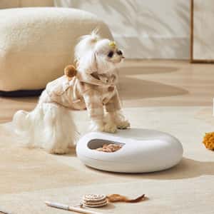 PETWANT 寵物智能乾濕餵食器-無線充電式 F13-L✦限買一台✦ (圖片5)