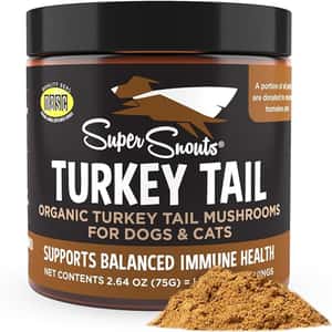Super Snout 保健用品 Super Snout 免疫+頑疾配方 美國有機雲芝 75g (DG340) (貓犬用)