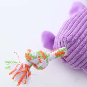 HelloDOG 玩具嚴選 狗狗嗶嗶拉扯趴趴公仔 1件 (隨機款) (TBS) (圖片3)