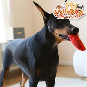 HelloDOG 玩具嚴選 狗狗嗶嗶發聲玩具 仿真食物 1件 (隨機款) (圖片3)