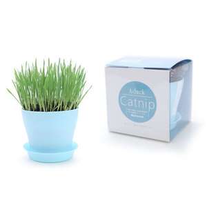 貓咪保健用品推薦：Aduck 玩具嚴選 Catnip DIY 種植天然吐毛球小麥草套裝