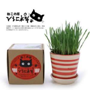 貓咪保健用品推薦：Vicky 自家種植天然吐毛球小麥草套裝 (款式隨機)