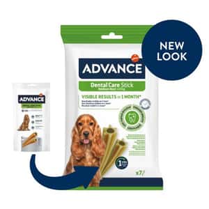 ADVANCE 狗零食 中大型犬潔齒棒 180g (500370) (圖片3)
