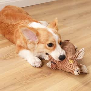 HelloDOG 狗玩具 玩具嚴選 發聲耐咬可愛毛絨豬 顏色隨機 (圖片3)