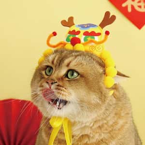 其他 貓玩具 HelloDOG 貓玩具 虎帽龍頭 1件 (隨機顏色)