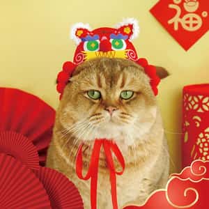 HelloDOG 貓玩具 虎帽龍頭 1件 (隨機顏色) (圖片3)