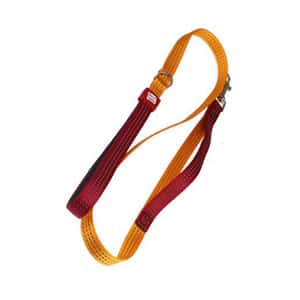 GiGwi GiGwi Collar Classic Line 寵物牽繩 黃 M (8271)