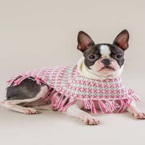 狗帶 狗胸帶 狗雨衣 Alqo Wasi 精選拉丁織布斗篷 粉色 L