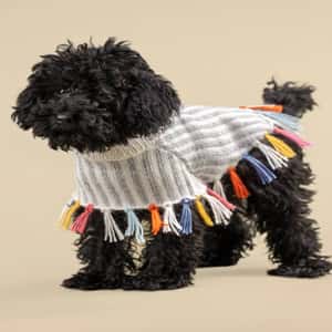 狗帶 狗胸帶 狗雨衣 Alqo Wasi 民族式絮花披肩彩虹色 M