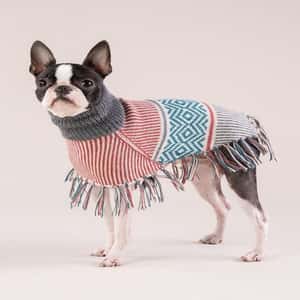 狗帶 狗胸帶 狗雨衣 Alqo Wasi 民族式絮花披肩繡花色 S