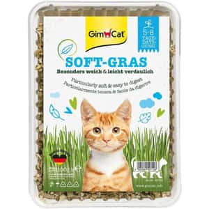 木天蓼 貓草 貓玩具 Gim Cat (藍盒) 特級幼嫩多汁種植貓草 100g