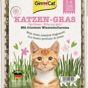 木天蓼 貓草 貓玩具 Gim Cat (粉紅盒) 香味種植貓草 150G