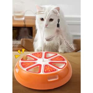 其他 貓玩具 貓玩具 智能旋轉羽毛飛碟逗貓玩具 1件