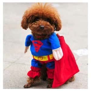 超可愛狗狗超人變身服裝 XL碼5號 (圖片3)