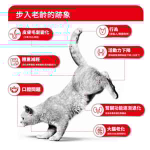 Royal Canin 貓糧 法國皇家貓糧 FHN 老齡貓11+ 營養配方 2kg (4108500) (圖片4)