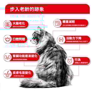 Royal Canin 貓糧 法國皇家貓糧 FHN 老齡貓15+ 營養配方 2kg (4108800) (圖片4)