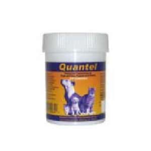 保健用品 Chanelle康圖 寵物用廣效除蟲片 CP04 30片 (貓犬用) (停售)