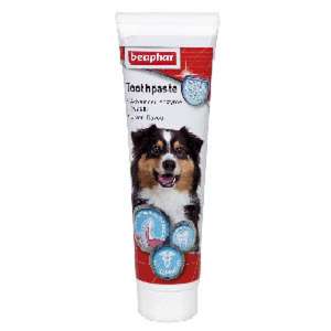BEAPHAR 狗狗清潔美容用品推薦：Beaphar 狗狗專用潔齒牙膏 Toothpaste 100g (15317)