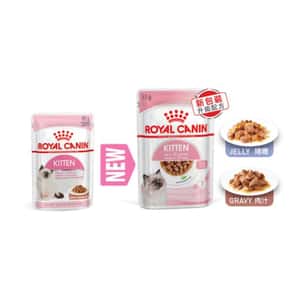 Royal Canin 法國皇家 Kitten 貓濕糧 幼貓營養主食濕糧 (肉汁) 85g (圖片8)
