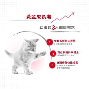 Royal Canin 法國皇家 Kitten 貓濕糧 幼貓營養主食濕糧 (肉汁) 85g (圖片3)