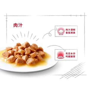 Royal Canin 法國皇家 Kitten 貓濕糧 幼貓營養主食濕糧 (肉汁) 85g (圖片5)