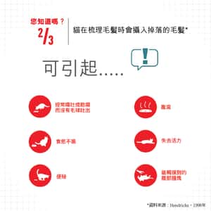 Royal Canin 法國皇家 貓濕糧 成貓去毛球加護主食濕糧 (肉汁) 85g (圖片4)