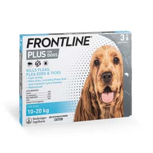 杜蟲殺蚤用品 保健用品 FRONTLINE Plus for Dogs 狗用殺蝨滴 (10-20kg中型犬專用) (FPM) (HK-53176)