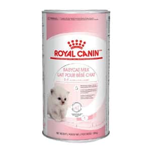 初生護理 貓咪保健用品 Royal Canin 法國皇家 FHN 初生貓營養奶粉 300g BCM 300 (4023800)