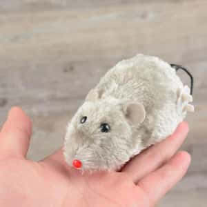 其他 貓玩具 HelloDOG 貓玩具 毛絨上鏈小老鼠逗貓玩具 (顏色隨機)