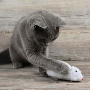 HelloDOG 貓玩具 毛絨上鏈小老鼠逗貓玩具 (顏色隨機) (圖片3)