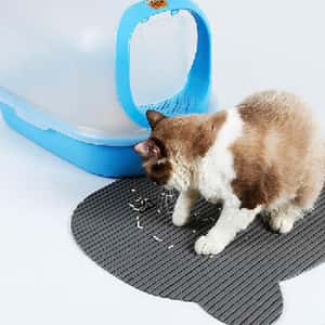防貓咪貓砂帶出 柔軟地墊 (顏色隨機) (圖片3)