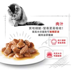 Royal Canin 法國皇家 貓濕糧 成貓消化道加護主食濕糧 (肉汁) 85g 3104800 (圖片6)