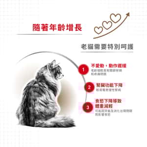 Royal Canin 法國皇家 貓濕糧 老年貓12+營養主食濕糧 (肉汁) 85g (圖片4)